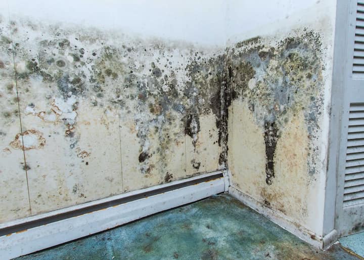 Easy Ways To Prevent Washing Machine Water Damage